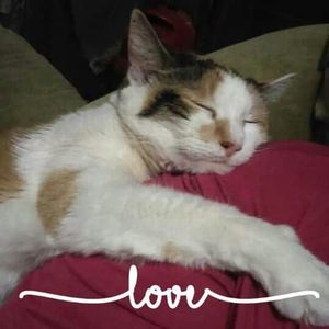 Meet your Posher, Jesse